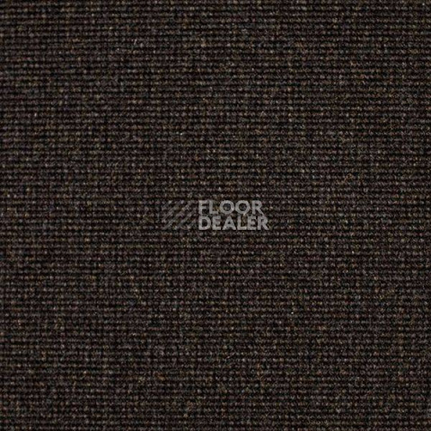 Ковролин Carpet Concept Eco 500 6956 фото 1 | FLOORDEALER