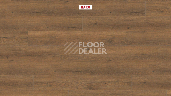 Ламинат Haro Tritty 100 4V Дуб Флавия Дымчатый 544705 фото 2 | FLOORDEALER