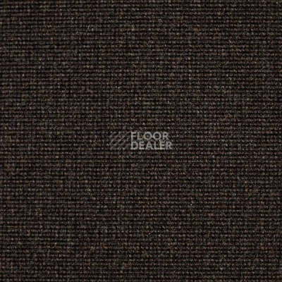 Ковролин Carpet Concept Eco 500 6956 фото 1 | FLOORDEALER