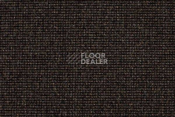 Ковролин Carpet Concept Eco 500 6956 фото 1 | FLOORDEALER