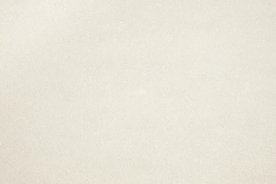 Vorwerk Passion 1000/Modena Vorwerk 6c54 фото 2 | FLOORDEALER