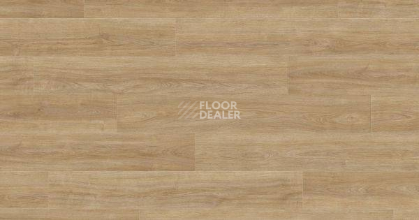 Ламинат Haro Tritty 100 4V ДУБ ЭЛЕГАНЗА ПУРО 541474 фото 1 | FLOORDEALER