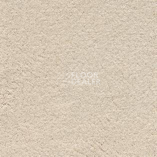 Ковролин AW Sirene 30 фото 1 | FLOORDEALER