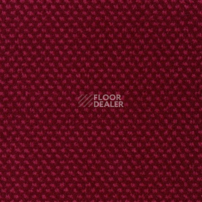 Ковролин Sintelon Podium 79413 фото 1 | FLOORDEALER