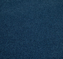 Ковролин Haima Noble 58 фото 1 | FLOORDEALER