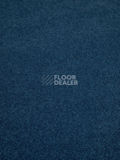 Ковролин Haima Noble 58 фото 1 | FLOORDEALER