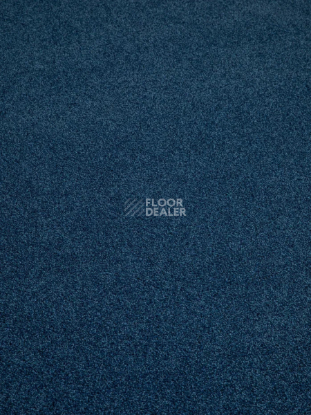 Ковролин Haima Noble 58 фото 1 | FLOORDEALER