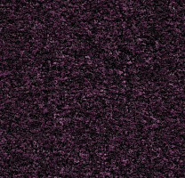 Грязезащитные покрытия Forbo Coral Brush 5739 Byzantine Purple фото 1 | FLOORDEALER