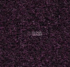 Грязезащитные покрытия Forbo Coral Brush 5739 Byzantine Purple фото 1 | FLOORDEALER
