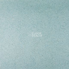 Линолеум Grabo Terrana Top Extra 4264-258 фото 1 | FLOORDEALER