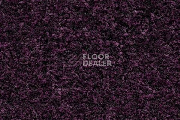 Грязезащитные покрытия Forbo Coral Brush 5739 Byzantine purple фото 1 | FLOORDEALER