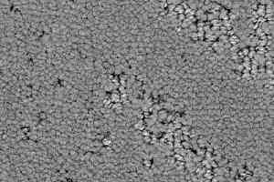 Ковролин Balsan Icone 920 фото  | FLOORDEALER