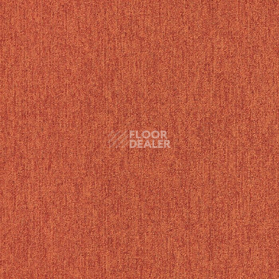 Ковровая плитка Interface Output Loop/Lines Loop 4219015 фото 1 | FLOORDEALER