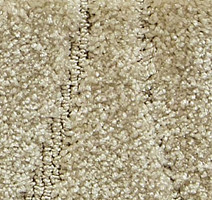 Ковролин Radici Glamour Avorio 1304 POP фото 1 | FLOORDEALER