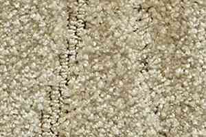 Ковролин Radici Glamour Avorio 1304 POP фото  | FLOORDEALER