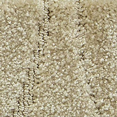 Ковролин Radici Glamour Avorio 1304 POP фото 1 | FLOORDEALER