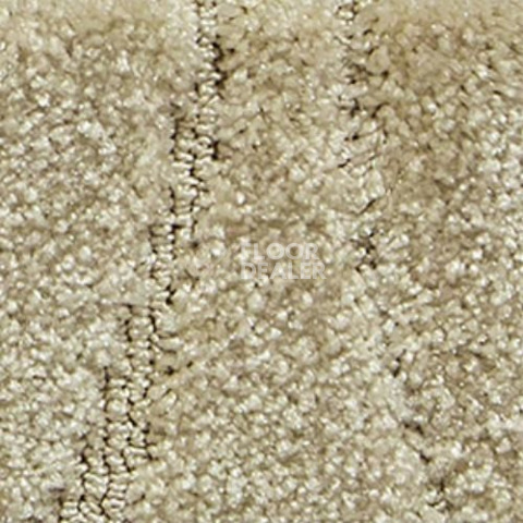 Ковролин Radici Glamour Avorio 1304 POP фото 1 | FLOORDEALER