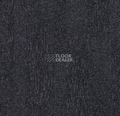 Ковровая плитка Flotex Colour Penang 50*50 t 382001 Penang Anthracite фото 1 | FLOORDEALER