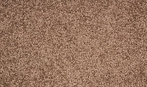 Ковролин Betap Makao 93 фото 1 | FLOORDEALER