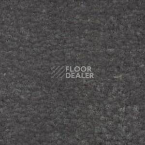 Ковролин Shaw Bradberry 30 788 фото 1 | FLOORDEALER