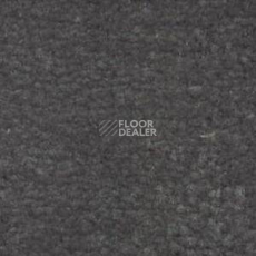 Ковролин Shaw Bradberry 30 788 фото 1 | FLOORDEALER