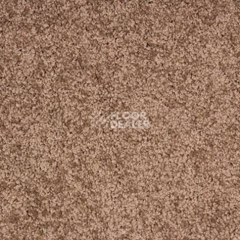 Ковролин Betap Makao 93 фото 1 | FLOORDEALER