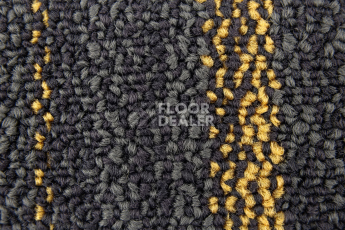 Neuflor Beach 2011-13 + Gold фото 2 | FLOORDEALER