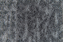 Flotex Colour s 445022 Canyon limestone фото 4 | FLOORDEALER