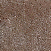 Ковролин Serene Beaulieu of America 19 фото 1 | FLOORDEALER