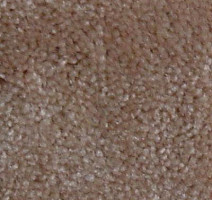 Ковролин Serene Beaulieu of America 19 фото 1 | FLOORDEALER