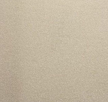 Ковролин Lano Noblesse 250 фото 1 | FLOORDEALER