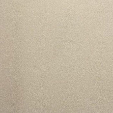 Ковролин Lano Noblesse 250 фото 1 | FLOORDEALER