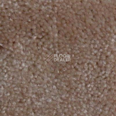 Ковролин Serene Beaulieu of America 19 фото 1 | FLOORDEALER