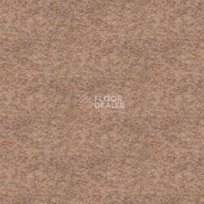 Ковролин Tapibel Spirit 8896 фото 1 | FLOORDEALER