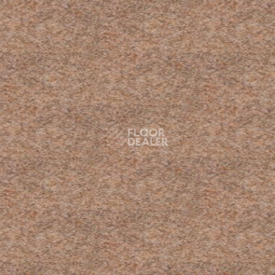 Ковролин Tapibel Spirit 8896 фото 1 | FLOORDEALER