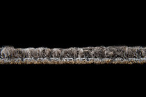 Desso AirMaster Reflection ac 58 9107 фото 6 | FLOORDEALER