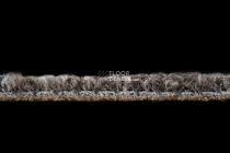 Desso AirMaster Reflection ac 58 9107 фото 6 | FLOORDEALER