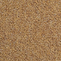 Ковровая плитка Domo Modulyss Millennium 152 фото 1 | FLOORDEALER