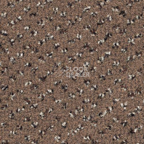 Ковровая плитка Desso Trapez 2943 фото 1 | FLOORDEALER