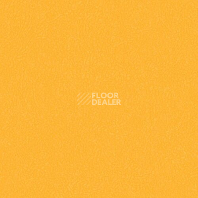 Линолеум Grabo Sport Extreme 80 3096_00_273 фото 1 | FLOORDEALER