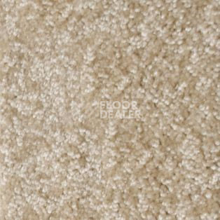 Ковролин AW Silence 33 фото 1 | FLOORDEALER