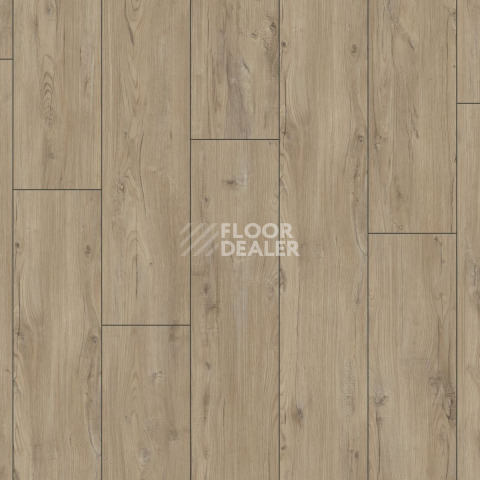 Kronotex Exquisit Plus d1203 Synchro Chestnut фото 5 | FLOORDEALER