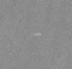 Forbo Marmoleum Decibel 386635 eternity фото 1 | FLOORDEALER