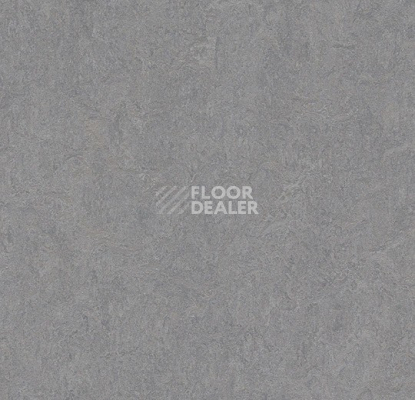 Линолеум Forbo Marmoleum Decibel 386635 eternity фото 1 | FLOORDEALER