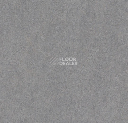 Линолеум Forbo Marmoleum Decibel 386635 eternity фото 1 | FLOORDEALER