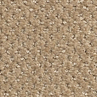 Ковролин Balsan Aquarelle Touch 625 фото 1 | FLOORDEALER