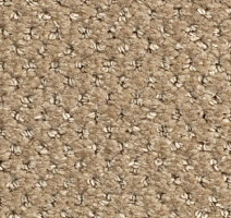 Ковролин Balsan Aquarelle Touch 625 фото 1 | FLOORDEALER