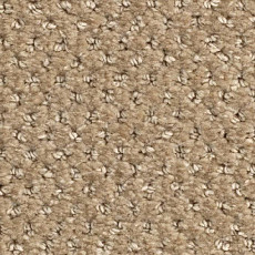 Ковролин Balsan Aquarelle Touch 625 фото 1 | FLOORDEALER