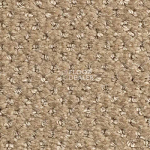 Ковролин Balsan Aquarelle Touch 625 фото 1 | FLOORDEALER