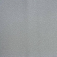 Линолеум Lg Calmpasso CP 93508 фото 1 | FLOORDEALER